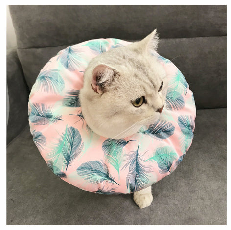 Stérilisation imperméable pour animaux de compagnie