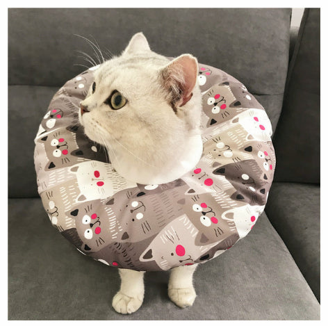 Stérilisation imperméable pour animaux de compagnie