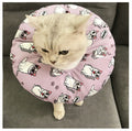 Stérilisation imperméable pour animaux de compagnie