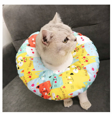 Stérilisation imperméable pour animaux de compagnie