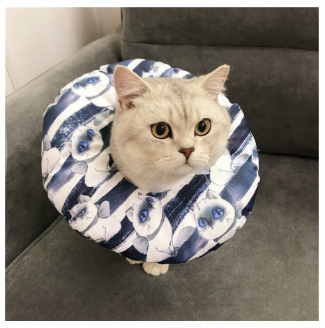 Stérilisation imperméable pour animaux de compagnie