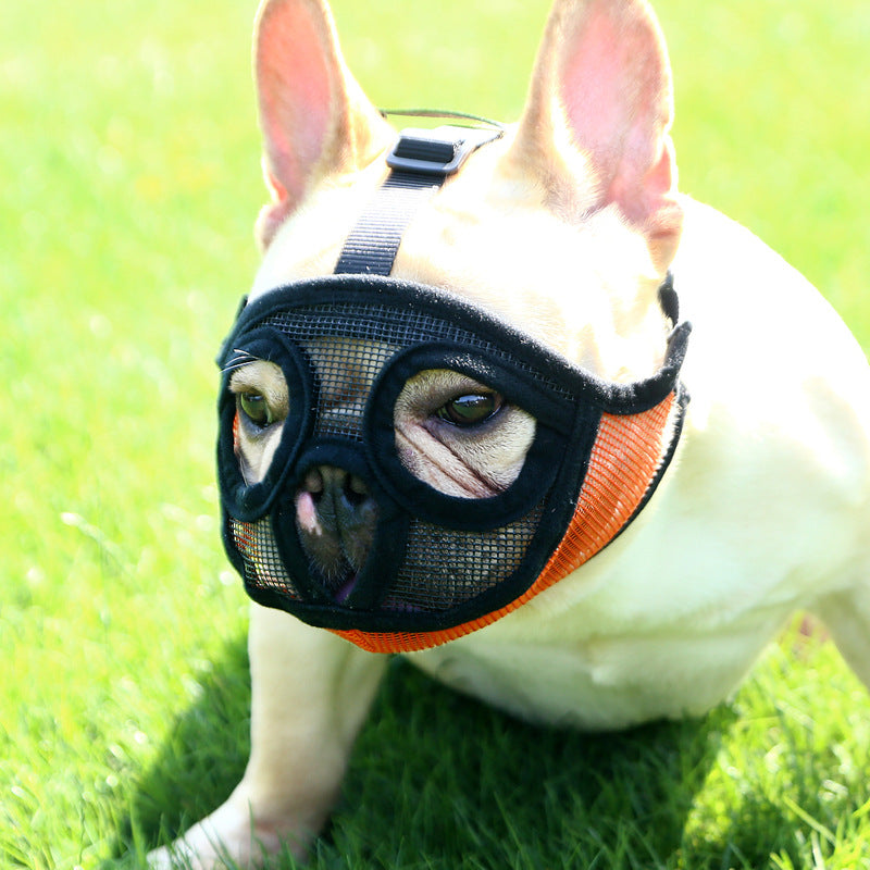 Hoopet Pet Petit chien Bulldog Français Muse Muse Panier Muse pour chien Respirant Muse pour chien Lea