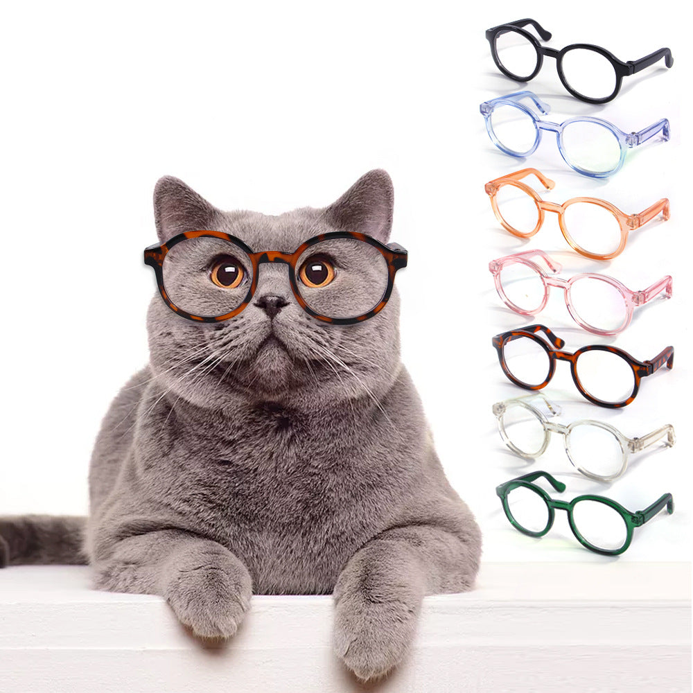 Verres en plastique transparent pour chats