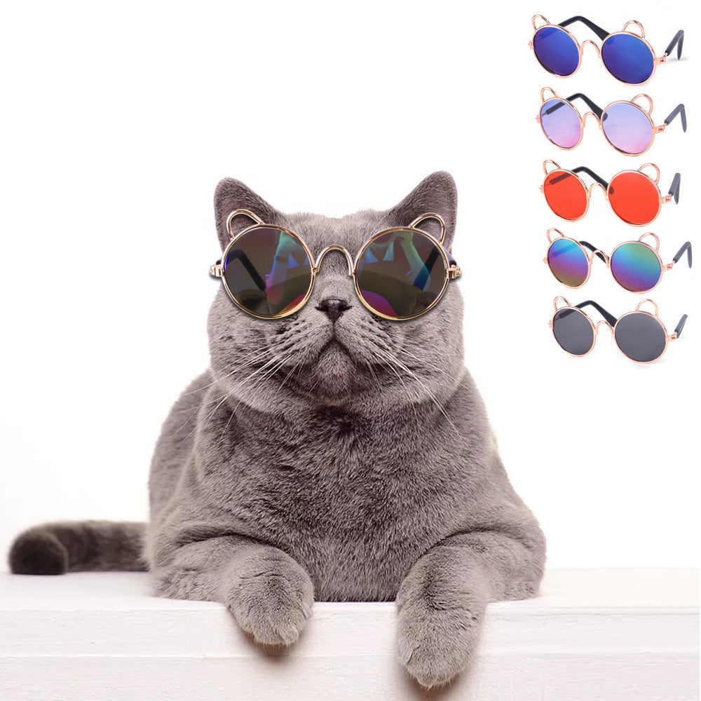 Lunettes de soleil de chat mignons Lunettes de soleil de chien
