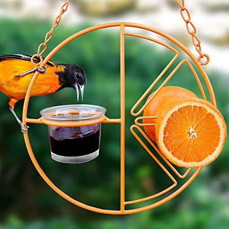 Oriole Bird Feeder Orange Fruit Outdoor Garden Metal Pending Boire du raisin Jelly Containe