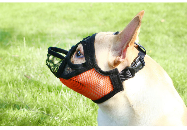 Fadou Puppy Couverture de la bouche Masque anti-bite et écorce