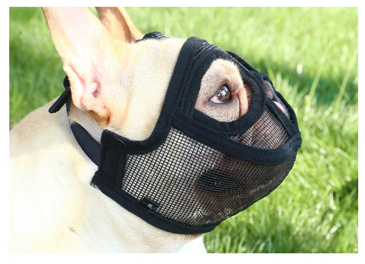 Fadou Puppy Couverture de la bouche Masque anti-bite et écorce