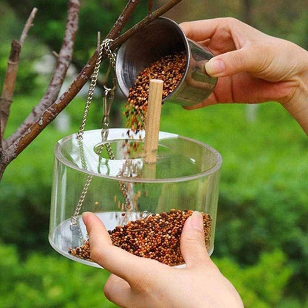 Boîte alimentaire pour oiseaux acryliques