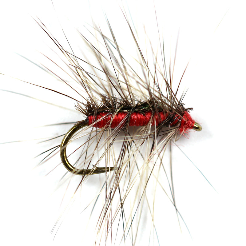 Bâton bionique insecte fauché de la truite de cheval