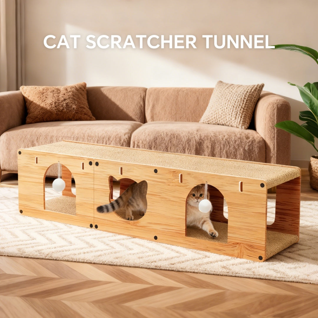 Uniquement prise automatique---1 0 0-long-mètre tunnel de chat 1 0 0 X 24