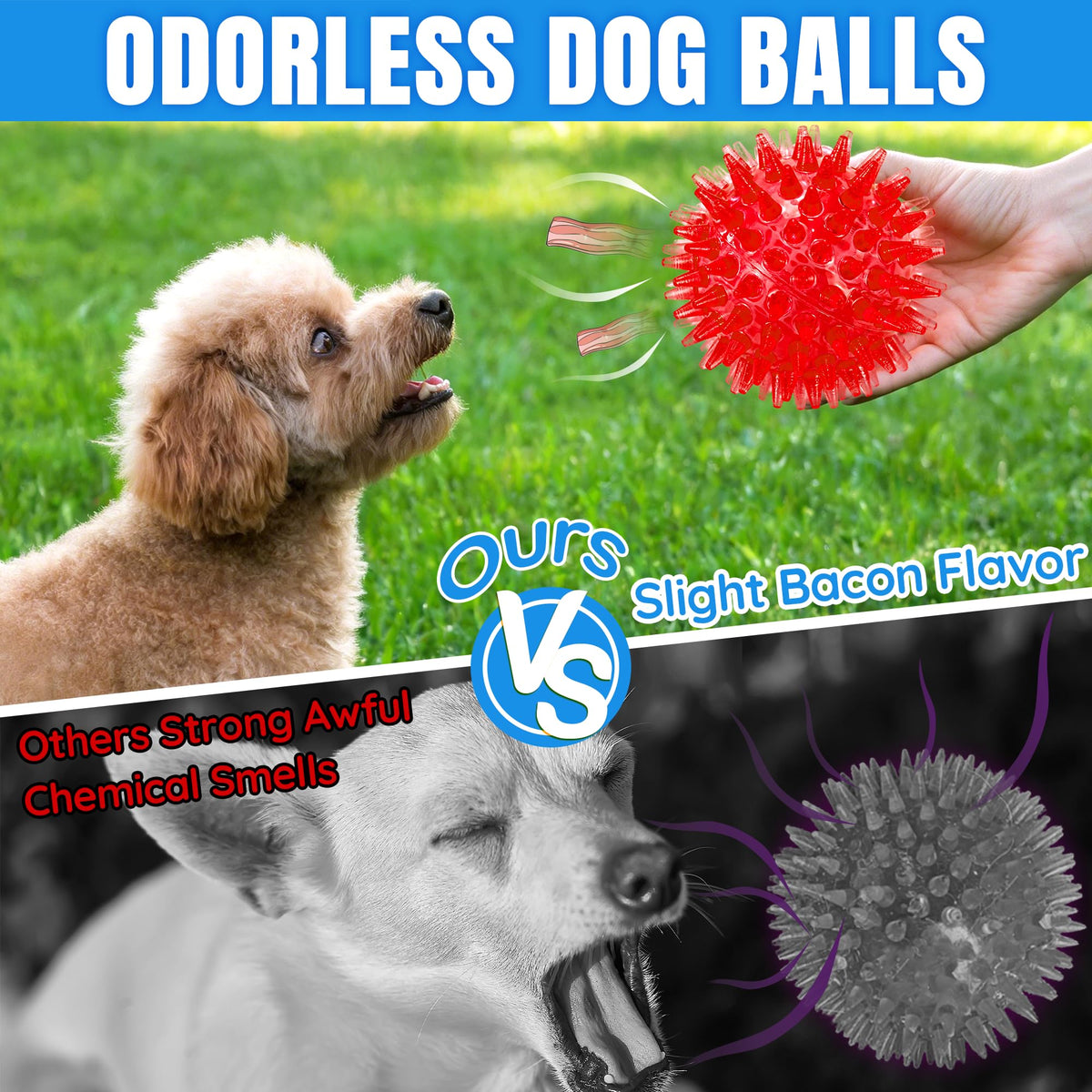 Balles de chiens épicées 12 paquets