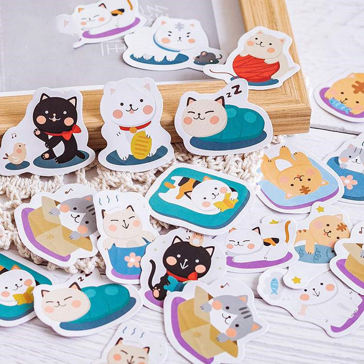 Autocollants de chat en boîte de bricolage