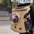 Portable pour chien et chat pour chiens de taille moyenne Style sac à dos