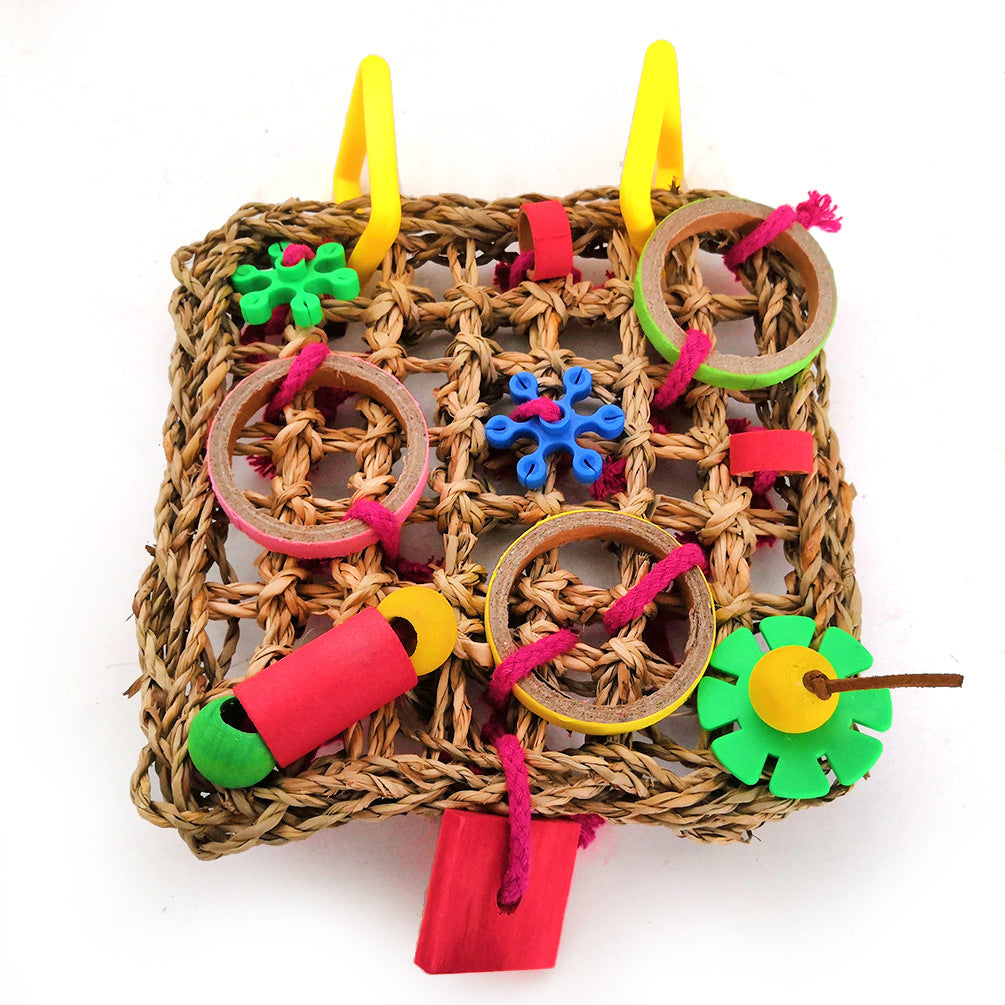 Bite de perroquet couleur construction blocs jouet