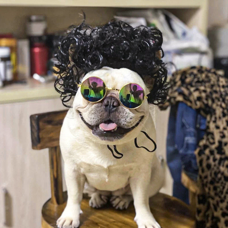 Coiffure de chien
