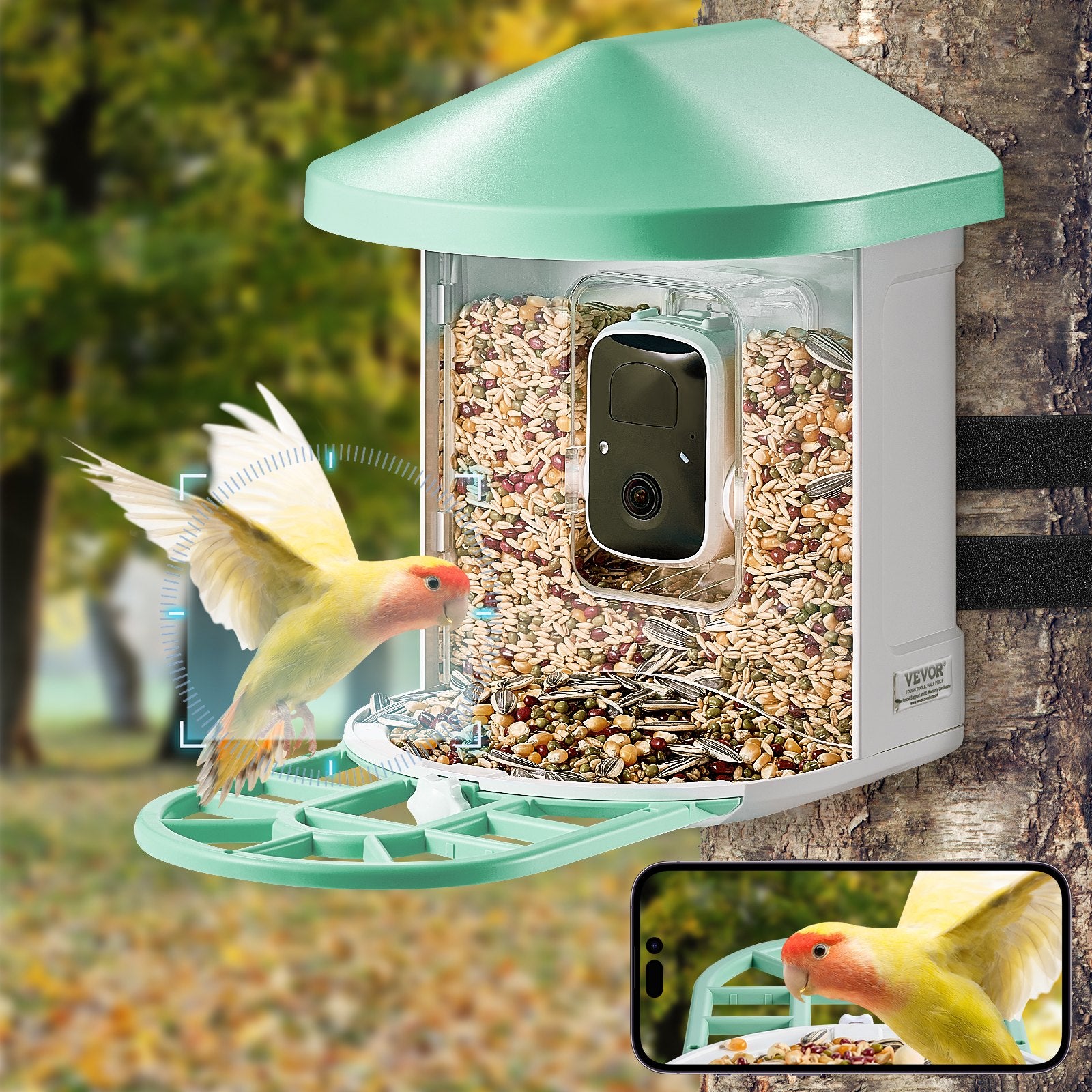 VEVOR Smart Bird Feeder avec caméra 2K HD AI Identifier les espèces d'oiseaux Capture automatique