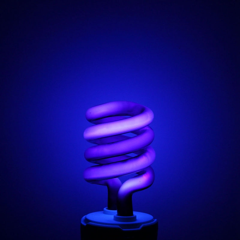Lampe à piège à insectes pourpre à économie d'énergie