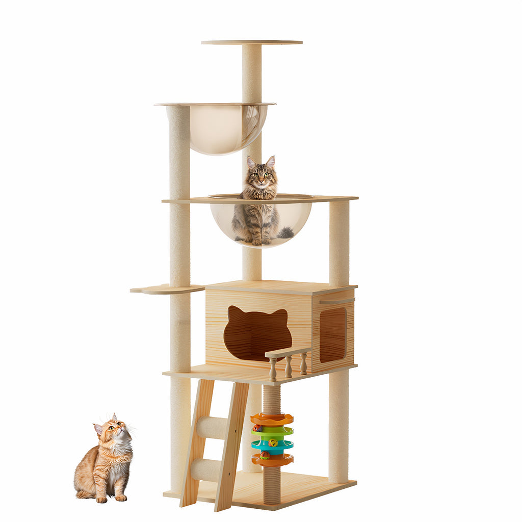 Tour Cat moderne de 59"