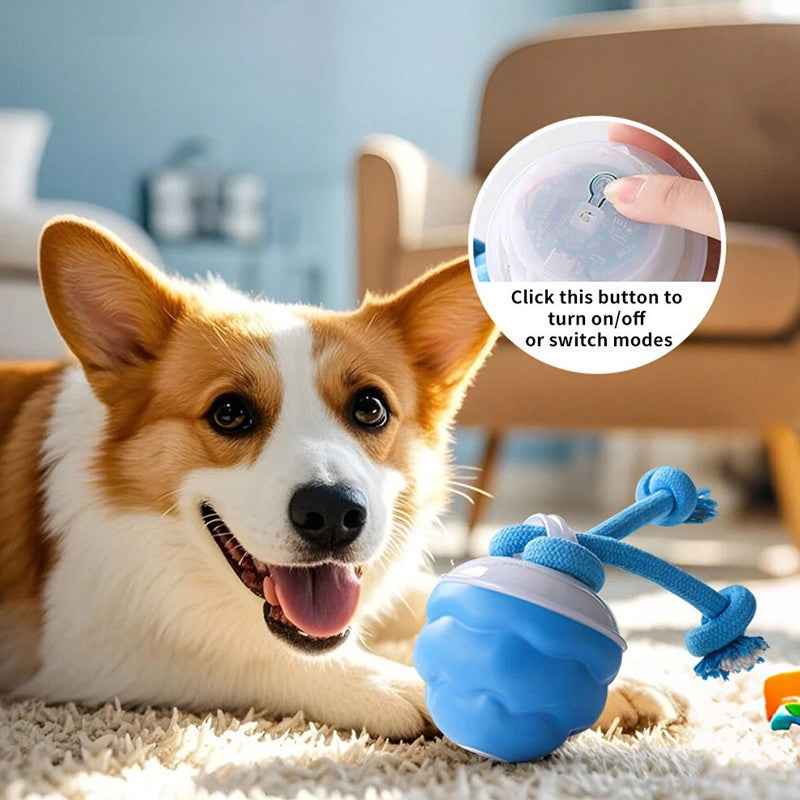 La Chase Buddy Dog Boredom Jouet stimulant Smart Pet Puppy Ball avec des ropes
