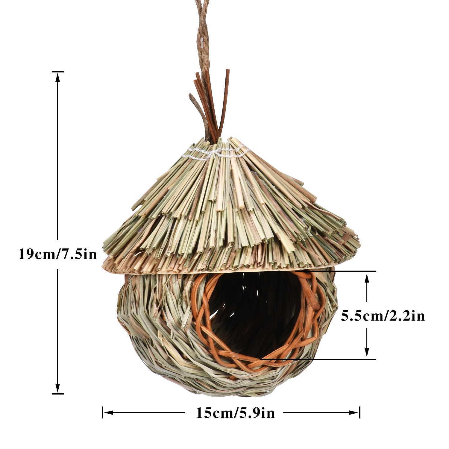 Plan d'environnement du Nid d'oiseaux de la paille de suspension créative
