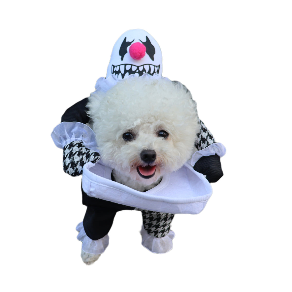 Costume d'Halloween pour animaux de compagnie Photo Props Demon Transformation