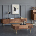 Nordic Solid Wood Tv Cabinet Black Walnut Simple Moderne Tv Retro Combinaison Salon H
