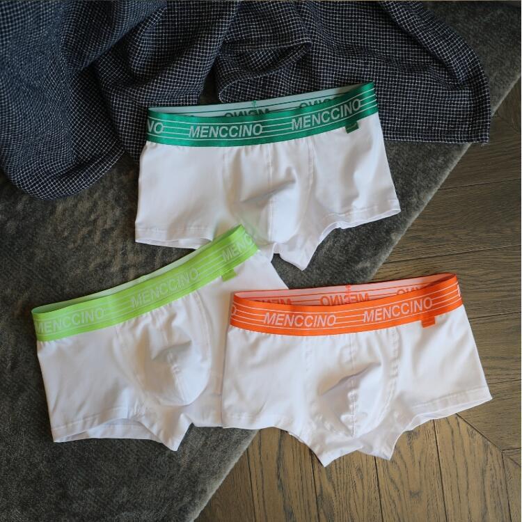 Sous-vêtements pour hommes Coton Solid Color Low Waist