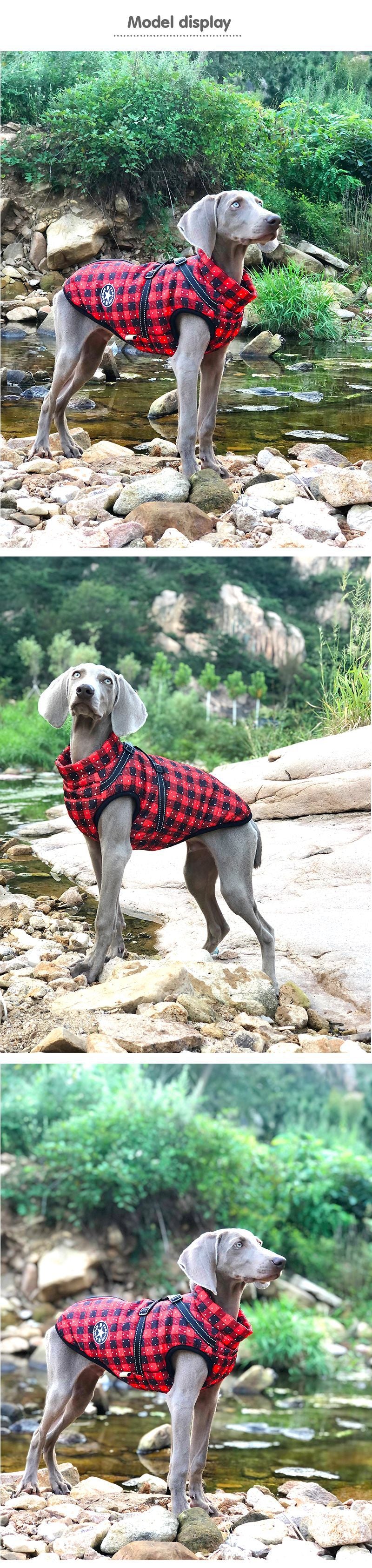 Manteau réfléchissant en coton