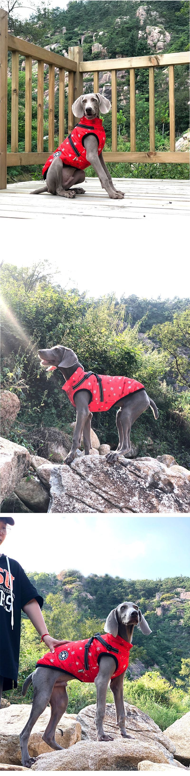 Manteau réfléchissant en coton