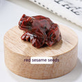 Specimen Popular Science Ornement Cadeaux pour enfants