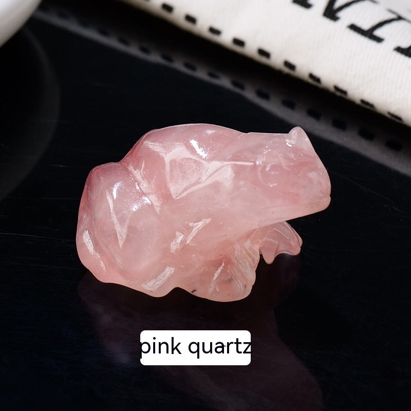 Specimen Popular Science Ornement Cadeaux pour enfants