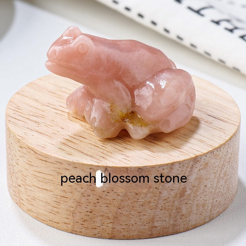 Specimen Popular Science Ornement Cadeaux pour enfants