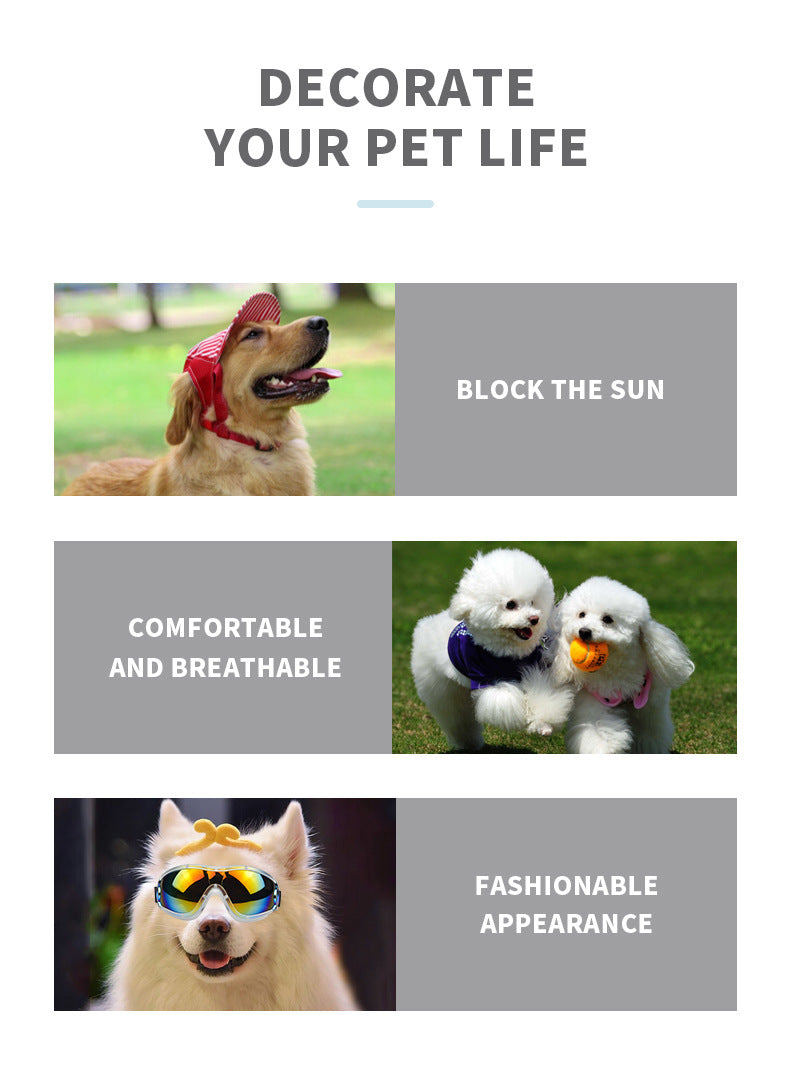 Verres pour animaux Dog Outdoor Windproof Gants UV résistants au sable Grand moyen Dog HD Verre coloré