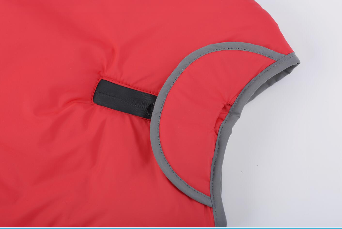 Costume d'automne en coton rembourré pour chien Lapel