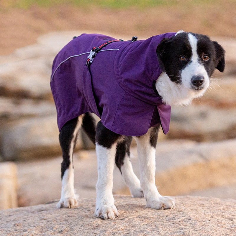 Animaux de compagnie Cotton rembourré vêtements automne et hiver imperméable chaud avec velours