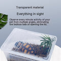 Silkworms Newborns Turtle box Jar
