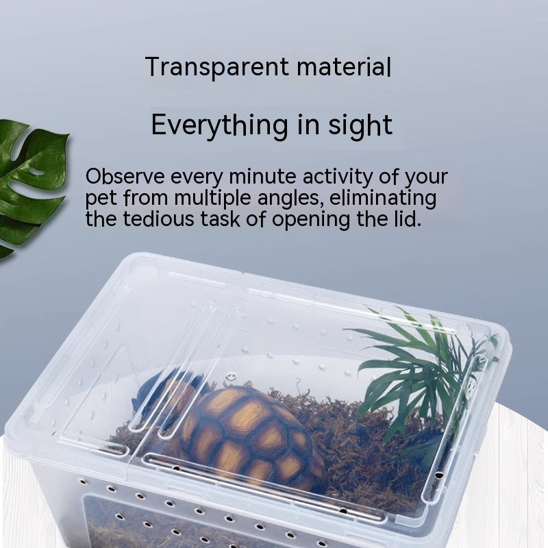 Silkworms Newborns Turtle box Jar