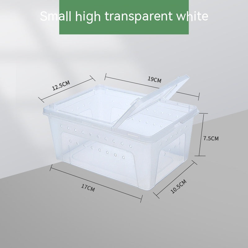 Silkworms Newborns Turtle box Jar