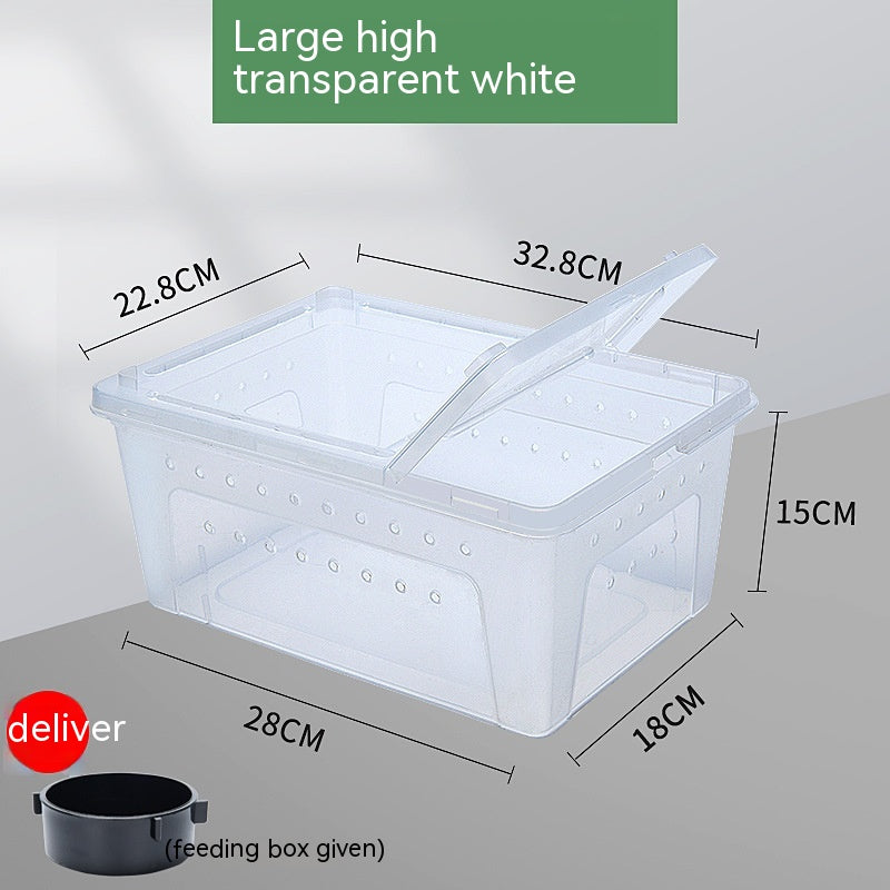 Silkworms Newborns Turtle box Jar