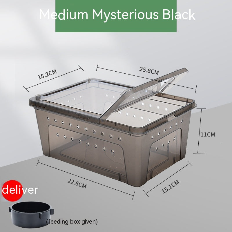 Silkworms Newborns Turtle box Jar