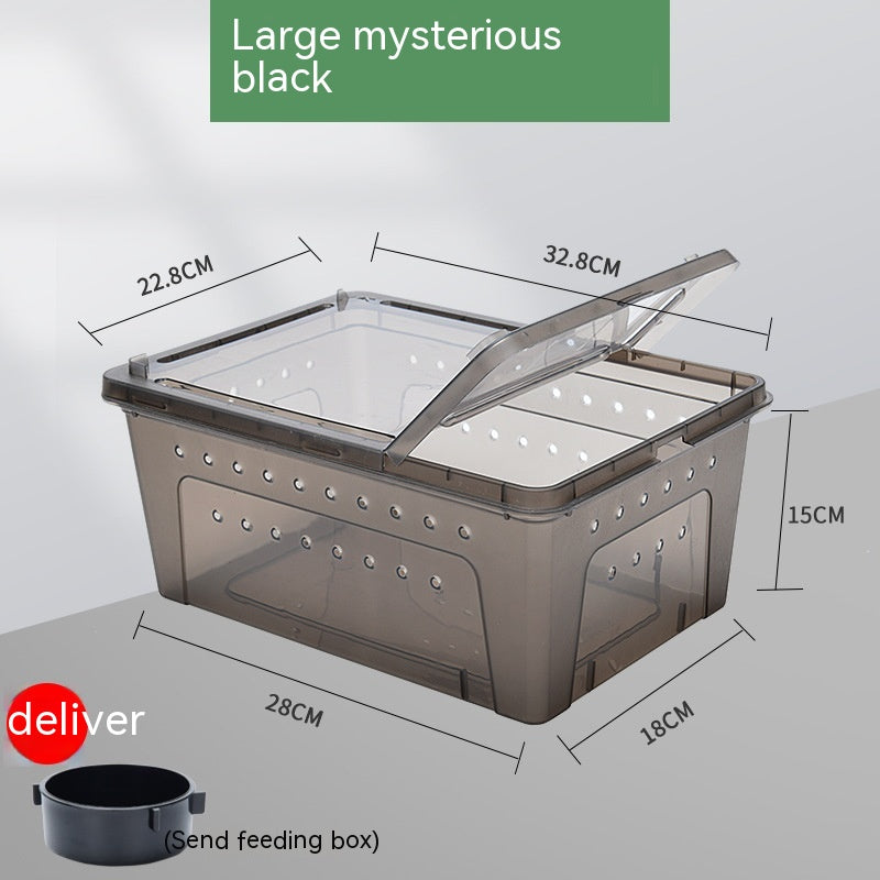 Silkworms Newborns Turtle box Jar