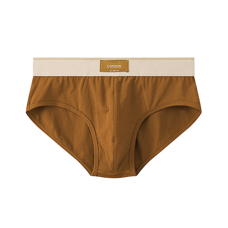 Slips en coton souple de mode pour hommes