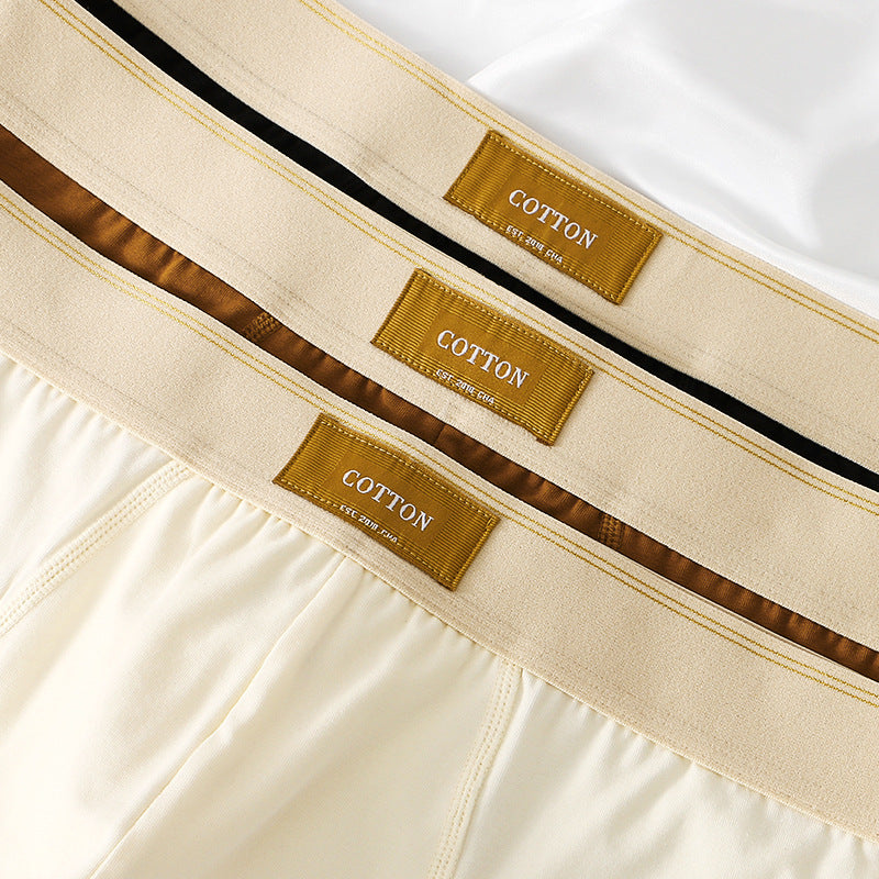Slips en coton souple de mode pour hommes
