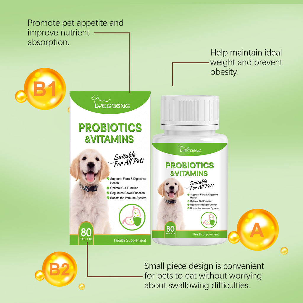 Probiotiques pour animaux de compagnie et comprimés de vitamine pour chiens et chats
