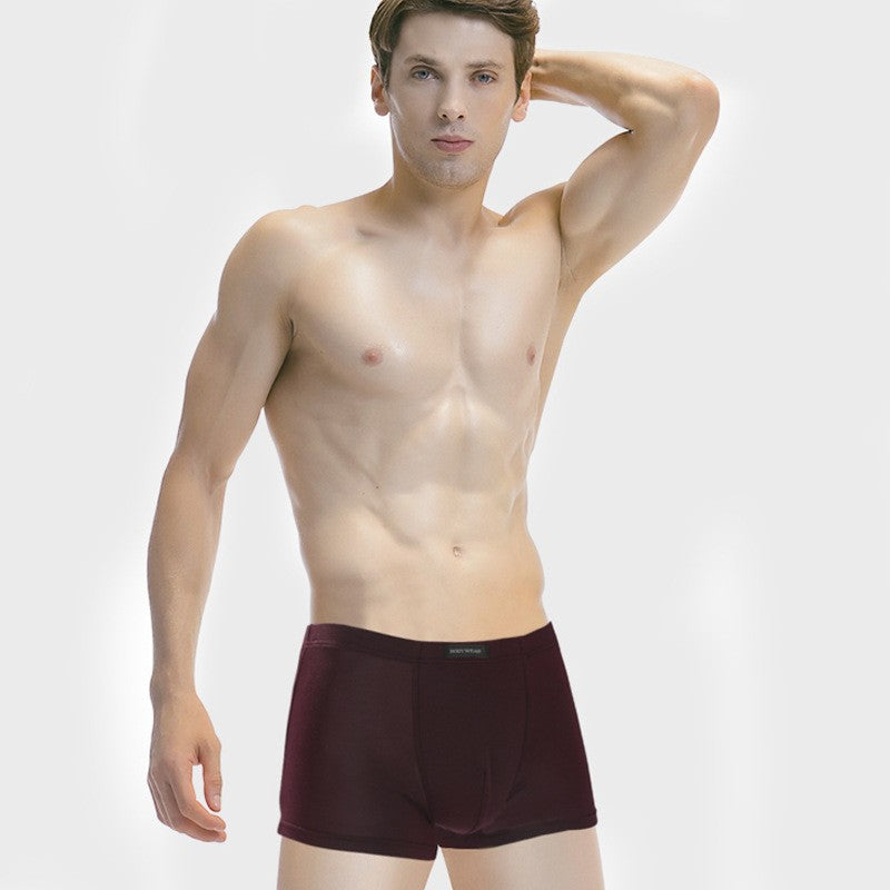 Breathable Sac de Boxer Casual Pantys Short Hommes
