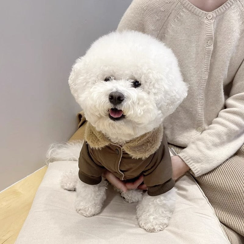Veste chaude épaisse de traction petit chien d'automne et d'hiver chat vêtements de chat