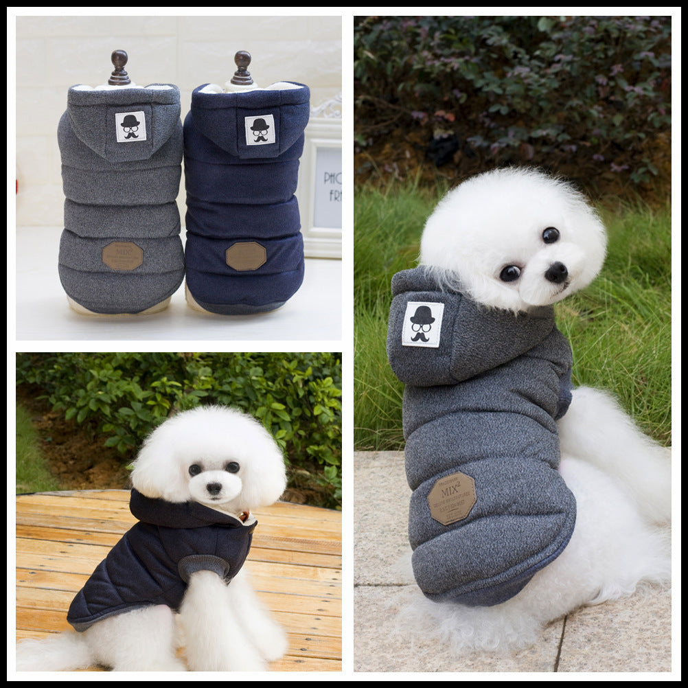 Vêtements Teddy pour animaux de compagnie Vêtements rembourrés en coton à deux pattes