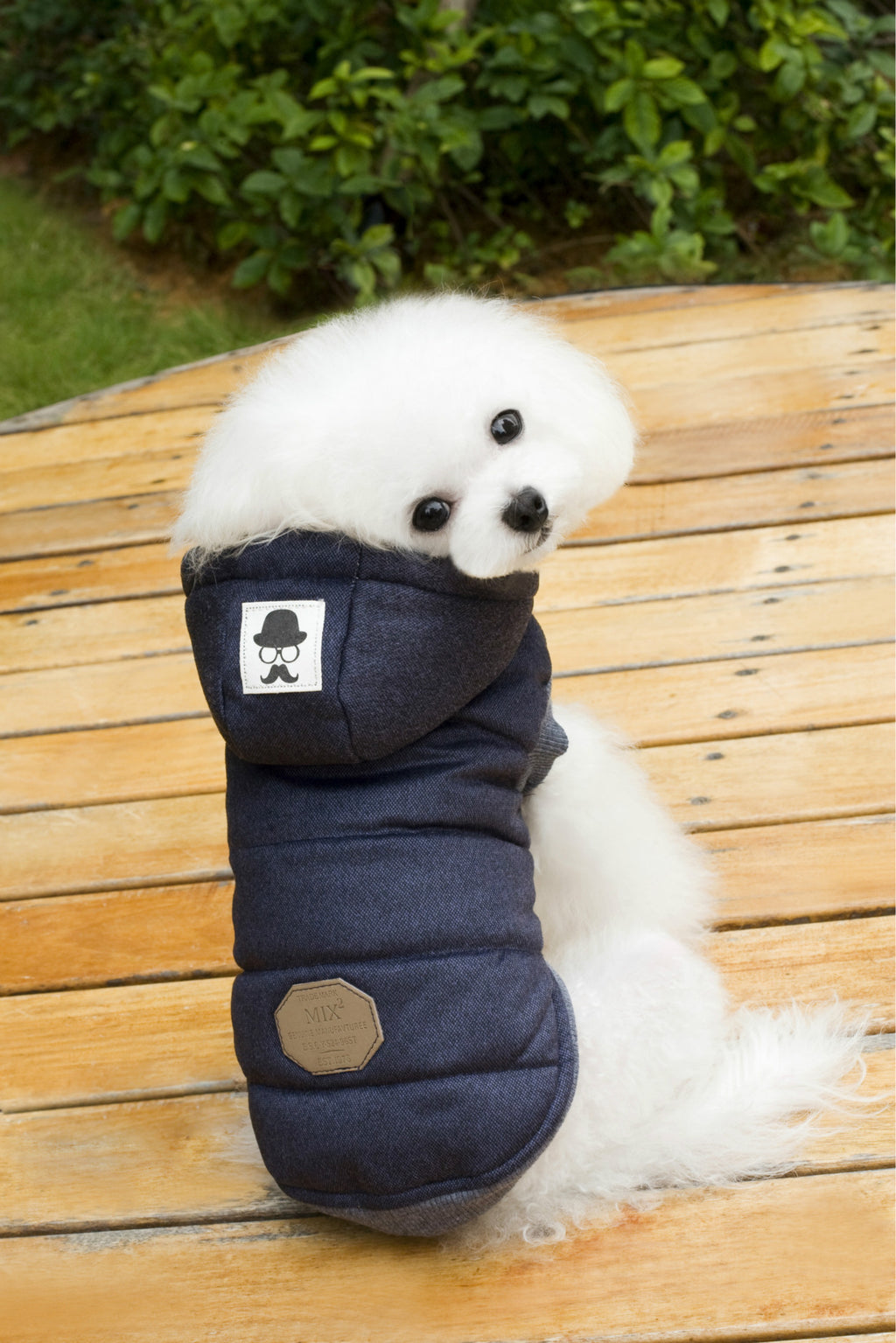 Vêtements Teddy pour animaux de compagnie Vêtements rembourrés en coton à deux pattes
