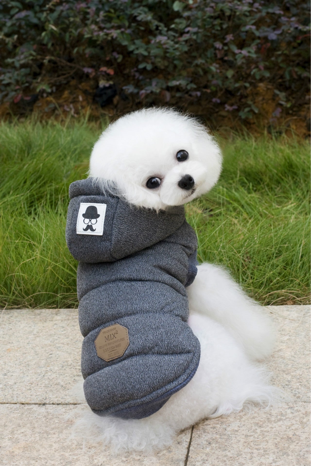 Vêtements Teddy pour animaux de compagnie Vêtements rembourrés en coton à deux pattes