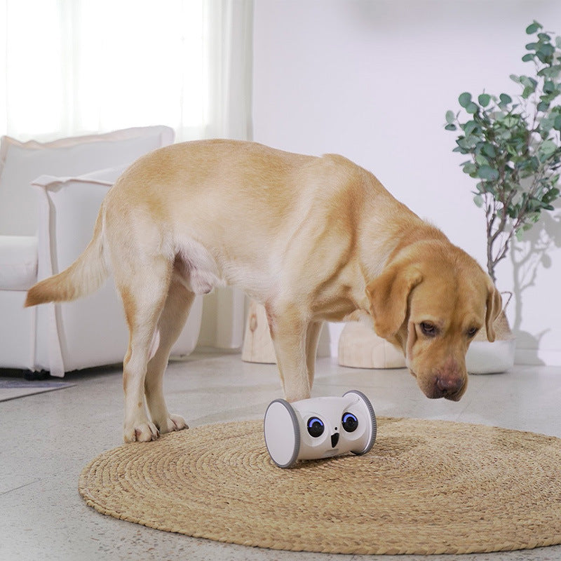 Jouet électrique pour chien en forme de chevreuil avec collations